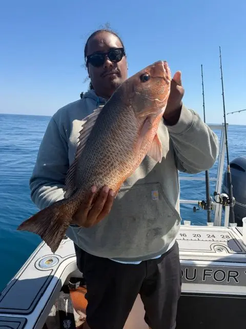 Angler in a gray hoodie holding a large mangrove snapper on a Native Charters boat