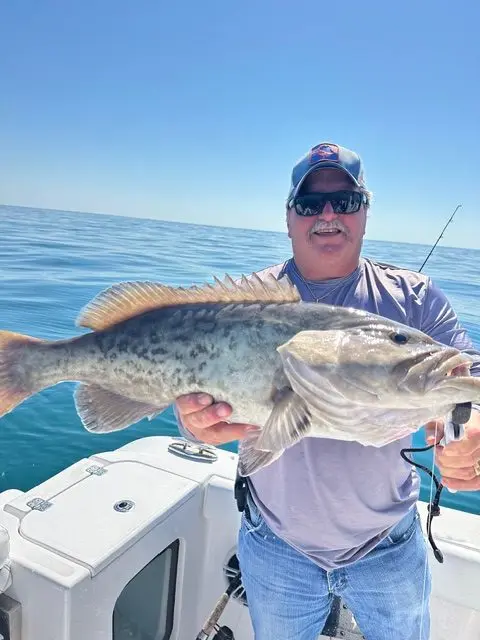 Angler holding a large gag grouper with both hands aboard a Native Charters boat