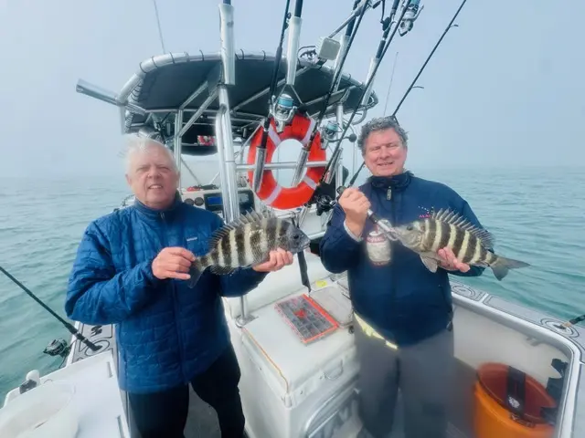 Two anglers each holding a sheepshead on a Native Charters boat on a foggy morning